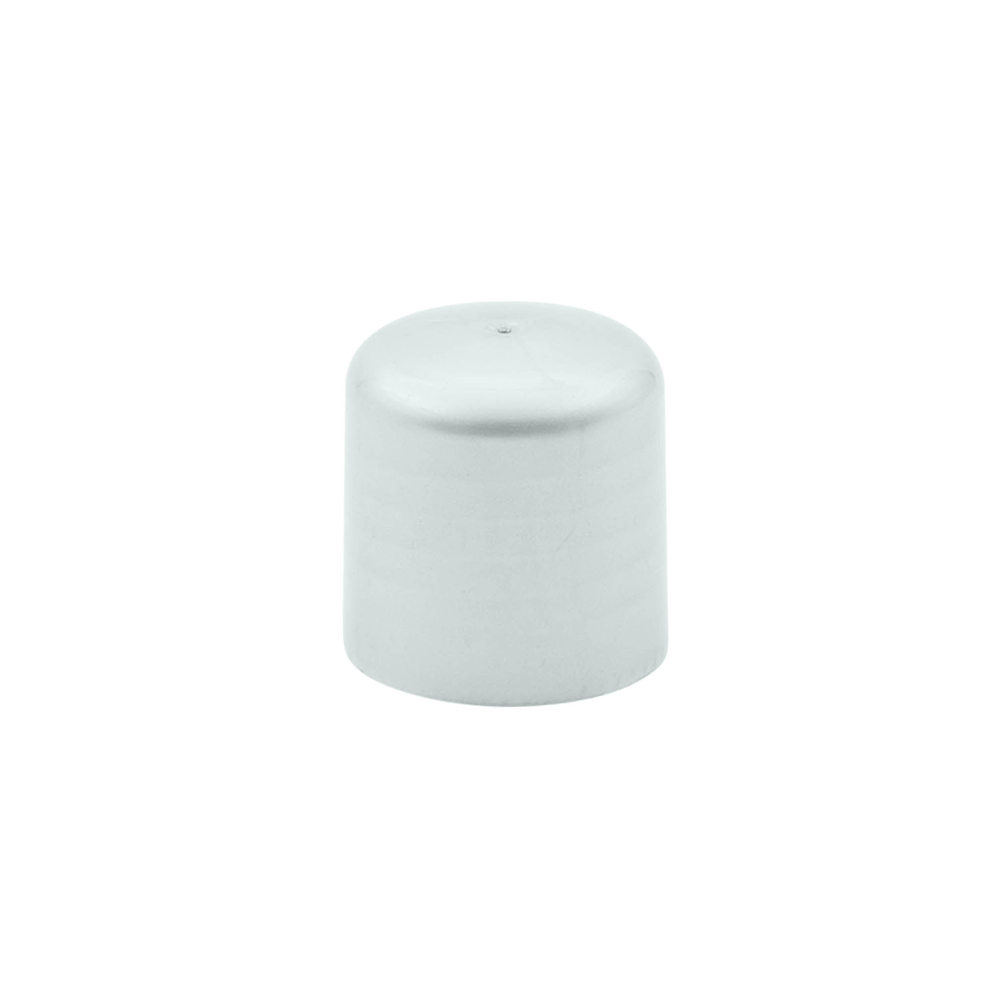Capac cu filet cu inserție pentru seringă, plastic PP, argintiu, pentru gura: 24/410