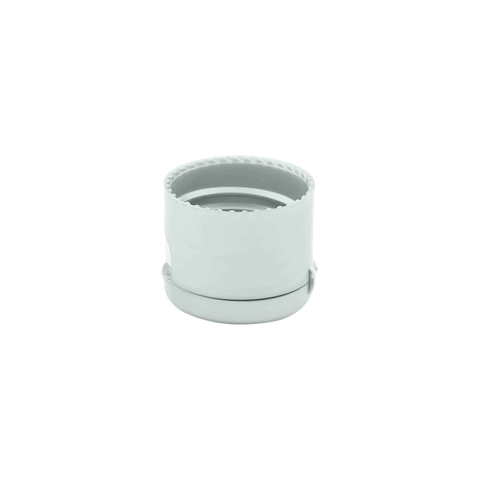 Capac cu filet și balama rabatabilă, plastic PP, argintiu, pentru gura: 24/410