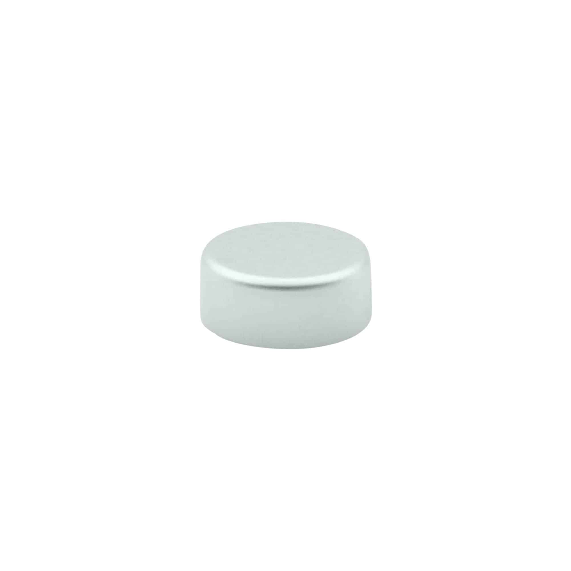 Capac cu filet, plastic ABS, argintiu, pentru gură: GPI 22/400